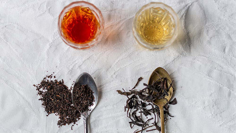 Beyaz Çay, Yeşil Çay, Siyah Çay – Fark Ne?