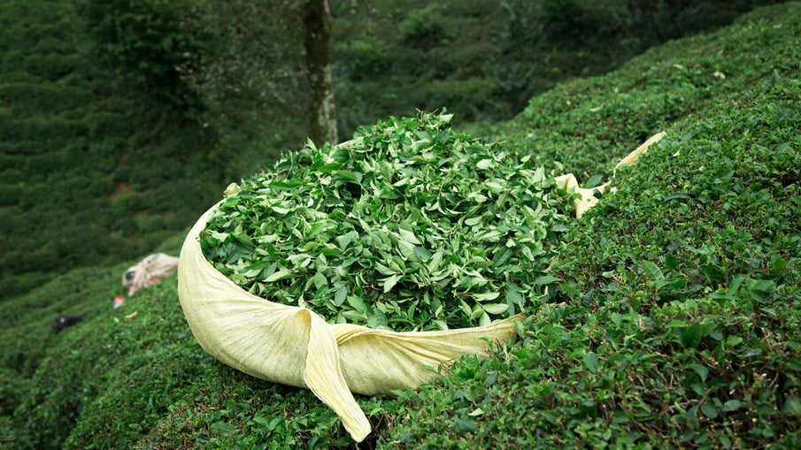 Çok Darlandık Buralarda!