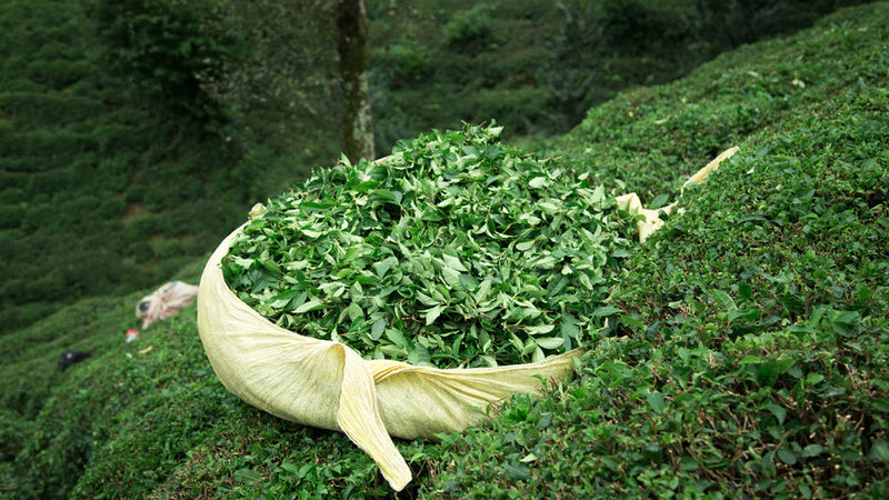 Çok Darlandık Buralarda!