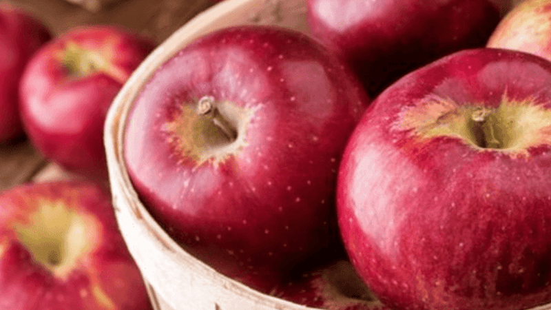 Elma – Anadolu’dan Dünyaya Yayılan Lezzet