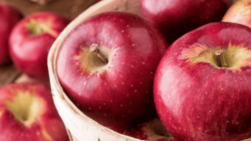 Elma – Anadolu’dan Dünyaya Yayılan Lezzet