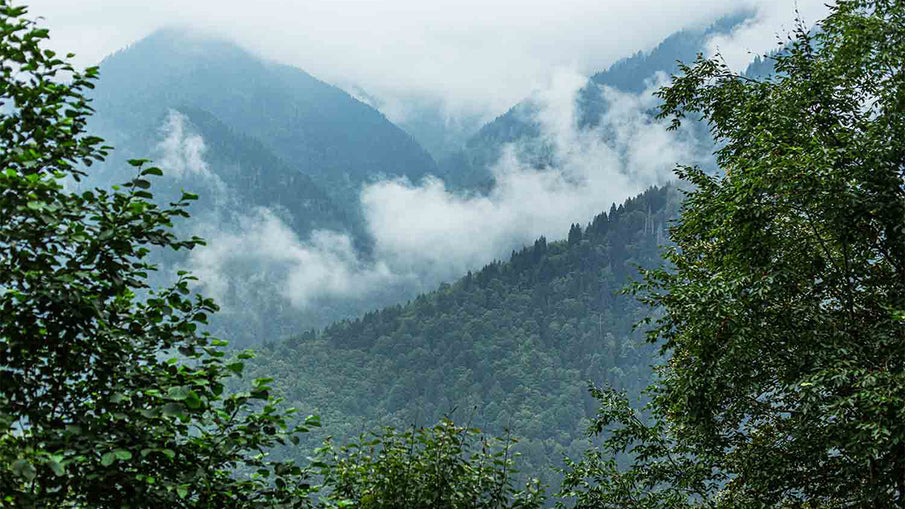 Fırtına Vadisi 101