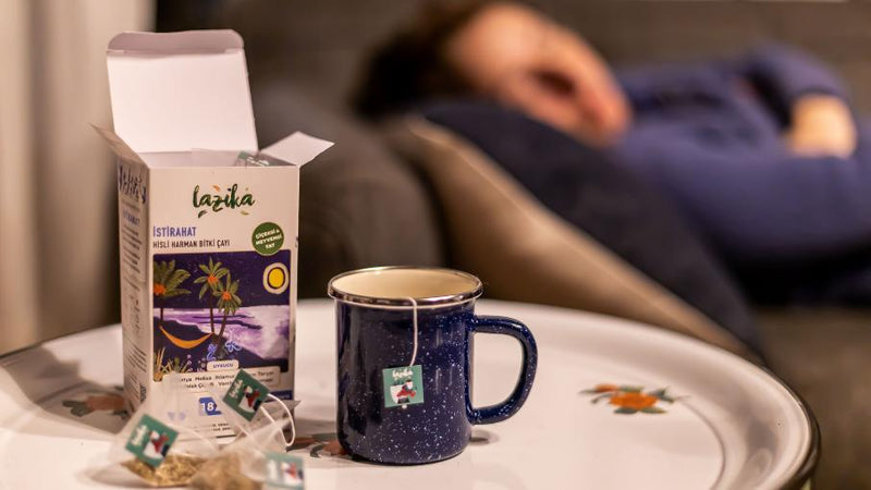 Hisli ve Sesli – İstirahat