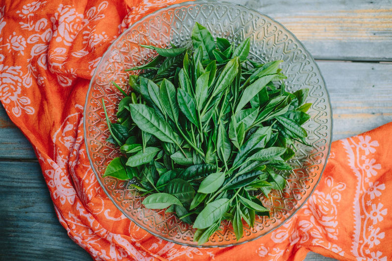 Lezzetin Yüksekliği, Yüksekliğin Lezzeti