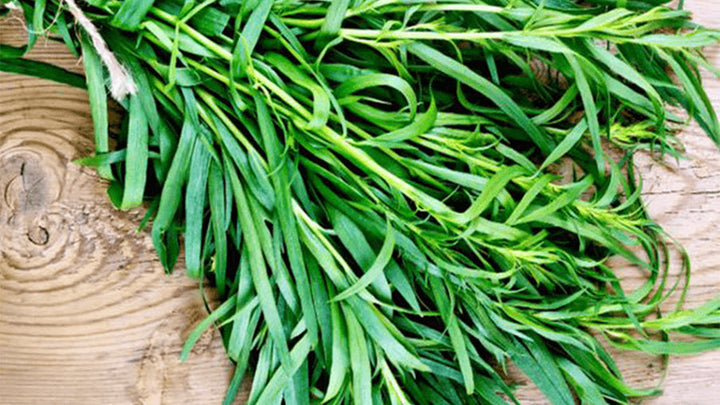 Lezzetli ve Faydalı Yeşil Şey: TARHUN