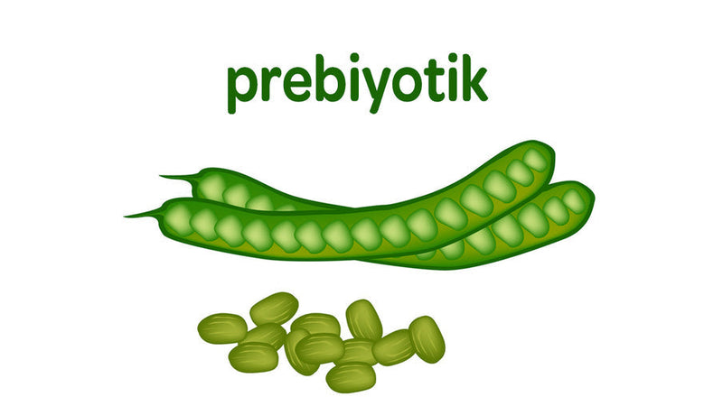 Prebiyotik Nedir?