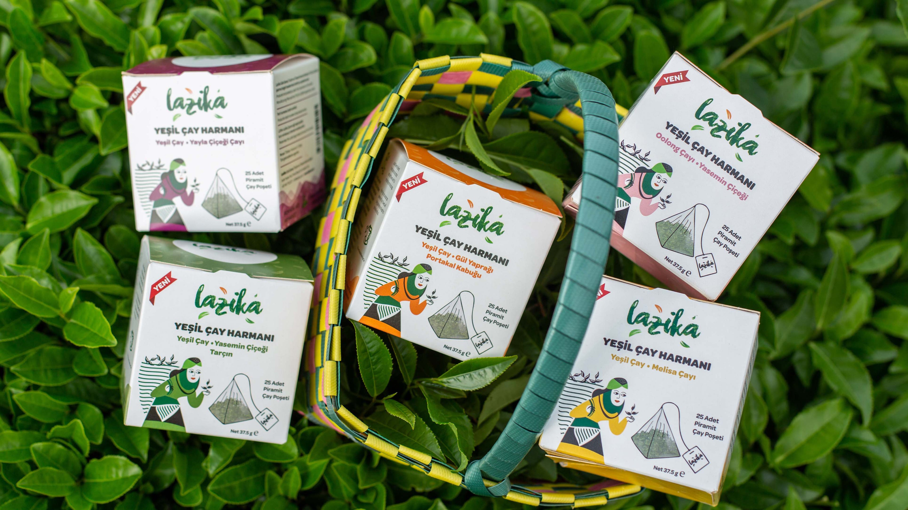 Yeşil Çay Harmanı