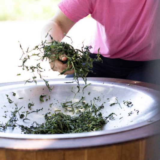 El Yapımı Yeşil Çay