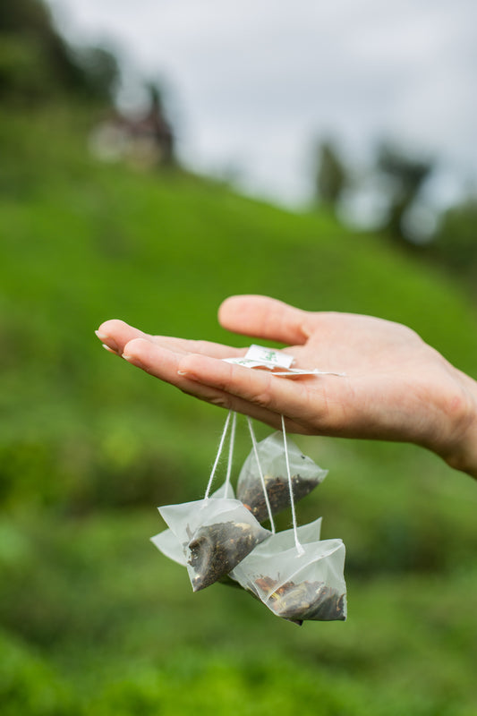 Yeşil Çay Bergamot, Hatmi Çiçeği Piramit Poşet